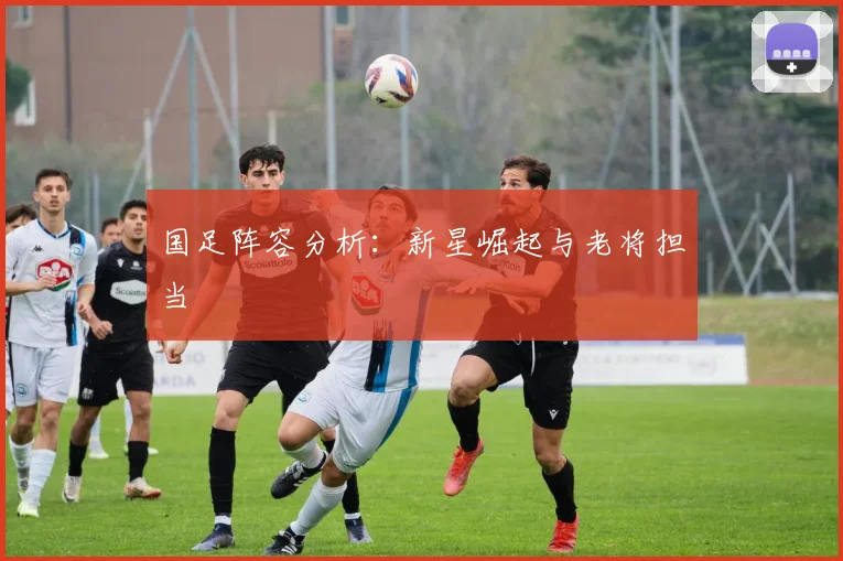 国足阵容分析：新星崛起与老将担当